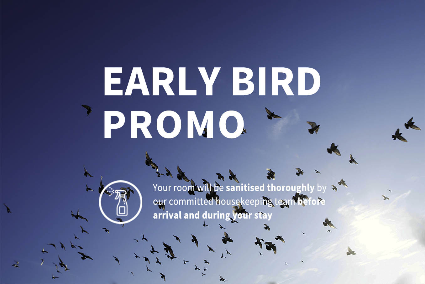 early-bird-hotel